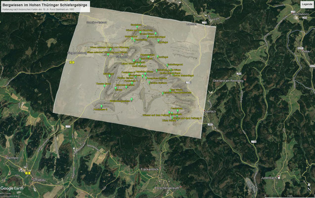Bergwiesen im Steinheider Forst