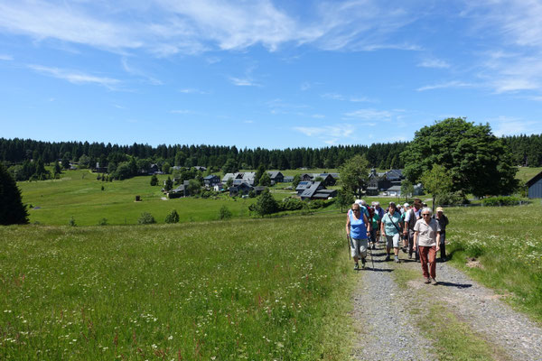 Wäldlertour zu den Arnikawiesen um Friedrichshöhe, Juni 2017