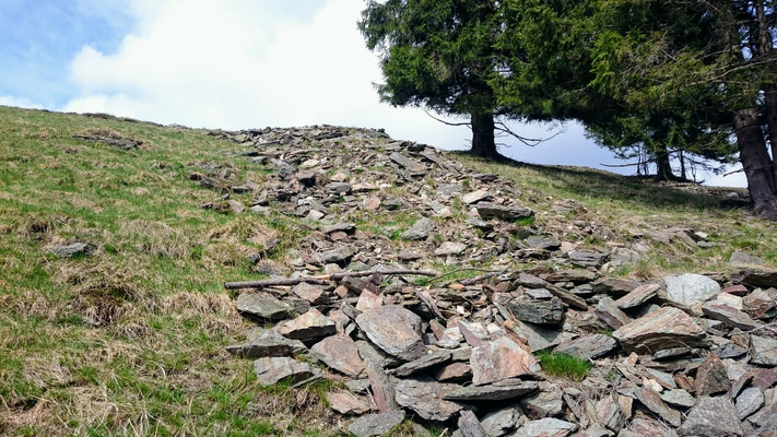 Steinriegel bei Steinheid