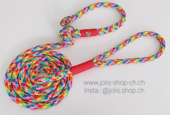 Art.-Nr.: 7010 / Retrieverleine 12mm Rundseil (Rainbow) für mittel bis grosse Hunde, Halsband individuell verstellbar      Preis: CHF 34.-