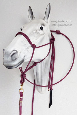 Art.-Nr.: 2070-71-79 /  Bodenarbeitsseil 14mm Seil 660cm, Reitring (Darkgreen), Knotenhalfter 8mm Grösse FULL / Preis: CHF 102.00