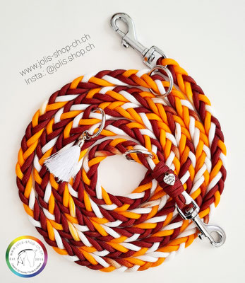 Art.-Nr.: C-6005 / Hundeleine 200cm / Löwe Rainbow / 2x kleine Karabiner                                     Preis: CHF 31.-
