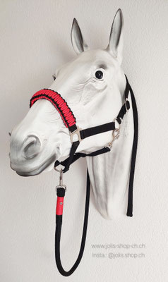Bild 2 /Art.-Nr.: 2080-2 / Halfter (Gr. Pony) schwarz/rot CHF 20.- und Führstrick schwarz/rot 200cm CHF 29.-      Total Preis: CHF  49.-
