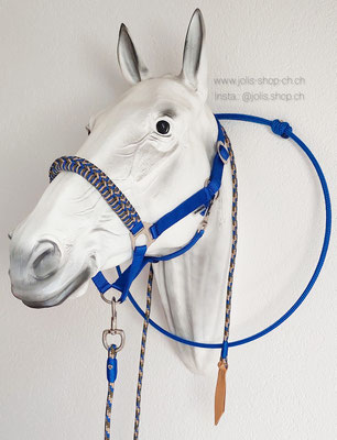 Bild 2 /Art.-Nr.: 2081-2 / Halfter (Gr. COB) Blau/Beige/Olive CHF 22.- und Reitring Blau CHF 25.-      Total Preis: CHF 47.-