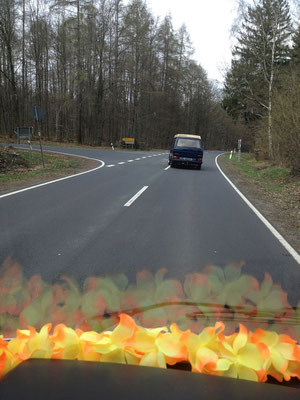 Der Bus in seiner liebsten Umgebung: auf der Straße.