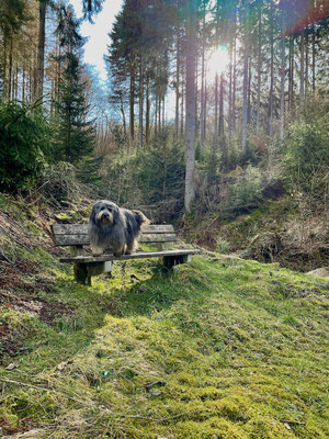 Beim Wandern.