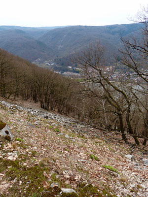 Wechselnde Landschaften.