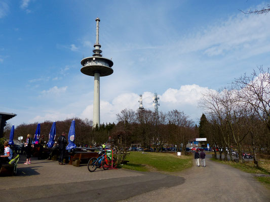 Auf dem Vogelsberg.