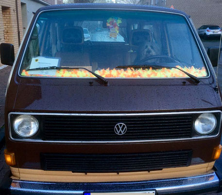 Benny versucht sich beim Autofahren.