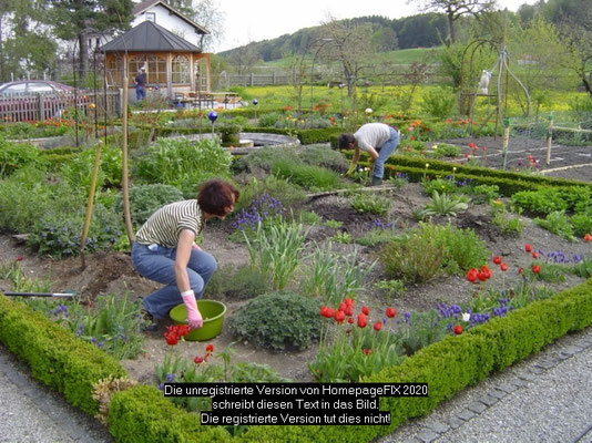 Fleissige Helfer im Lehrgarten