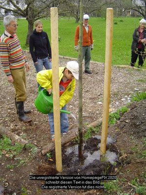 Ein neuer Baum für's Grüne Klassenzimmer