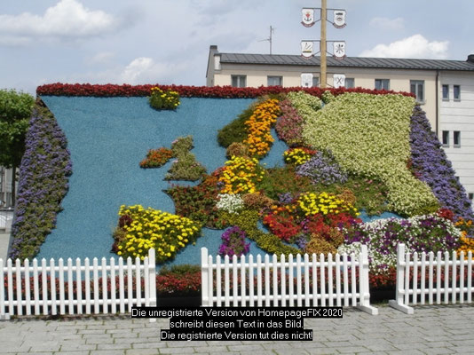 Blumenbild im Stadtzentrum Deggendorf 2014