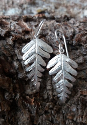 Ohrhaken Blechnum, 925/er Silber,  € 95,-