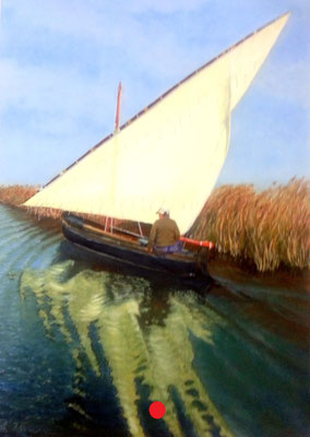 Barca con vela triangular navegando por un canal estrecho, rodeado de cañas altas y con reflejos marcados en el agua.