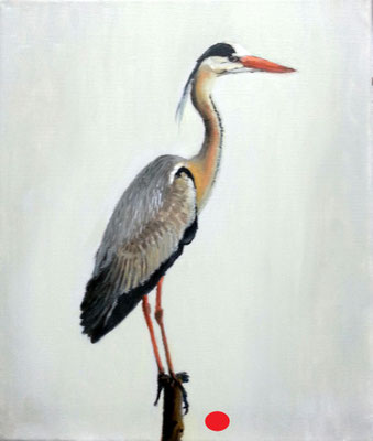 Garza posada sobre un poste de madera, en perfil, con plumaje gris y blanco sobre un fondo claro y uniforme.