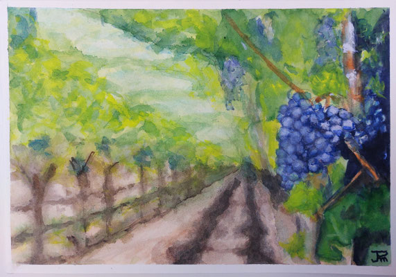 009 Viñas