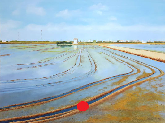 Campo inundado con surcos de tractor y primeros brotes verdes del arroz, con una caseta al fondo y cielo despejado.