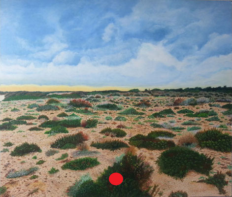 Paisaje de dunas con vegetación baja y variada, cielo nublado y tonos cálidos en la arena.