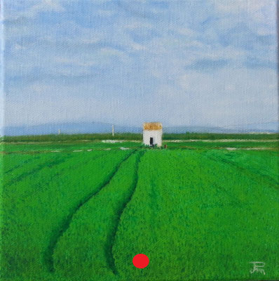 Arrozal verde y frondoso con dos surcos curvos que avanzan hacia una casita blanca bajo un cielo azul con nubes.
