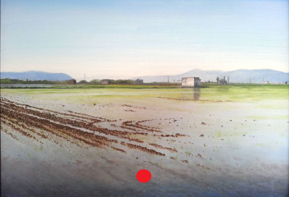 Arrozal inundado con brotes verdes, casas de motores y montañas al fondo bajo un cielo despejado.