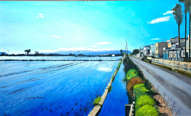Vista de los arrozales inundados junto al pueblo de El Palmar, con reflejos del cielo y las montañas al fondo; a la derecha, las casas y palmeras que marcan la frontera entre el paisaje natural y la zona urbana.