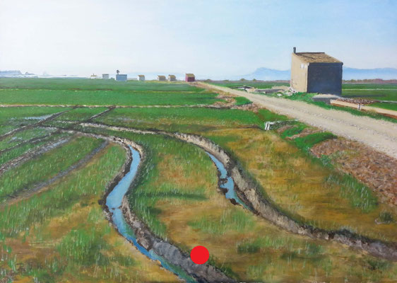 Campo verde con surcos marcados en el barro, canal de riego, camino de tierra y una casa aislada al fondo bajo un cielo despejado.