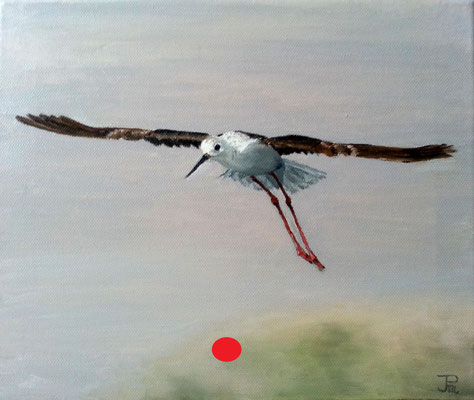 Garceta en pleno vuelo con alas extendidas, cuerpo blanco y patas rojas sobre un fondo suave y luminoso.