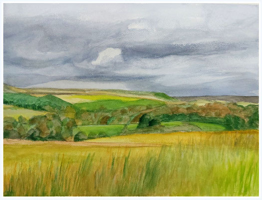 Paisaje campestre con hierbas altas en primer plano, campos verdes y marrones, colinas suaves y cielo nublado.
