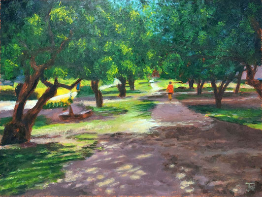 Sendero arbolado en el antiguo cauce del Turia, con luz entre las hojas y figura caminando al fondo