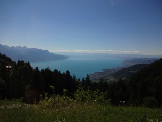 Oberhalb dem Genfersee auf dem Weg zum Rochers de Naye