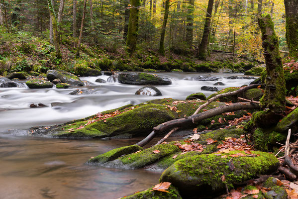 Wanderung im Herbst entlang der Klause, Deutschlandsberg