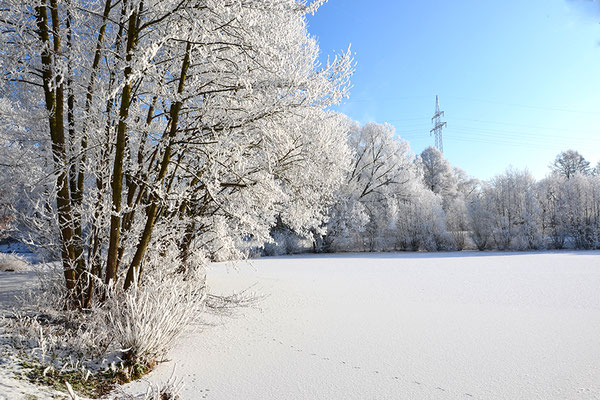 Süd-Aueweiher im Winter, Foto: Benedikt Kirsch