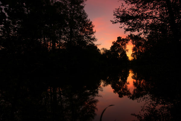 Nord-Aueweiher am Abend, Foto: Benedikt Kirsch