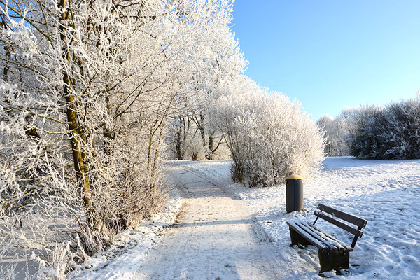 Süd-Aueweiher im Winter, Foto: Benedikt Kirsch