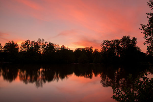 Nord-Aueweiher am Abend, Foto: Benedikt Kirsch