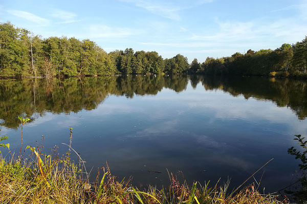 Süd-Aueweiher,  Foto: Benedikt Kirsch
