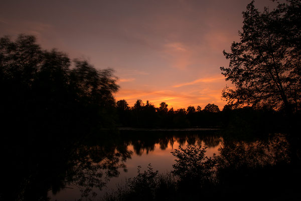 Nord-Aueweiher am Abend, Foto: Benedikt Kirsch