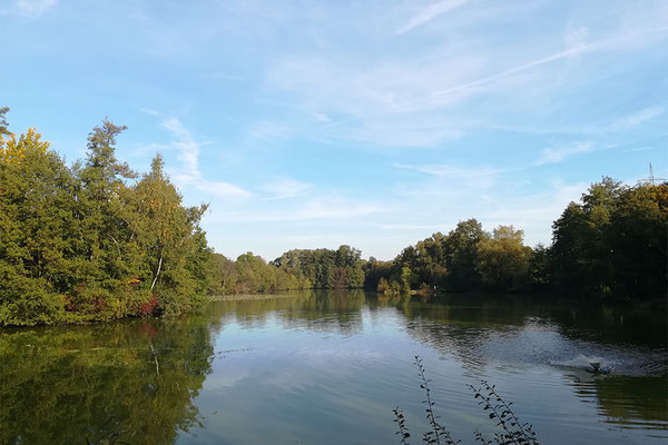 Süd-Aueweiher, Foto: Benedikt Kirsch