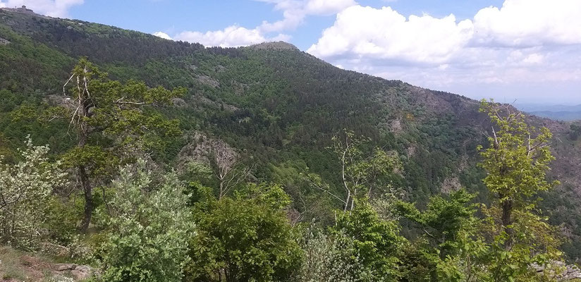 9 juin, Rando sous le Mont Aigoual (Le Mt Aigoual tout en haut à gauche de la photo), René.