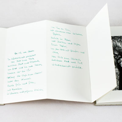 DAS LEBEN - EIN TANZ (2024), Text von Jutta Höfel