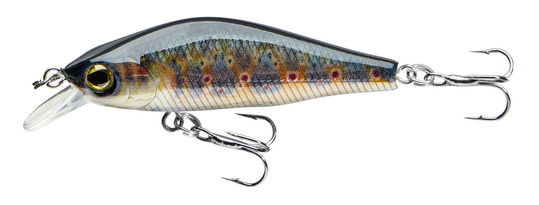 53-04501 baby brown trout