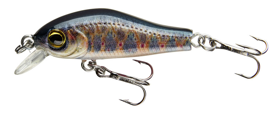 53-04351 baby brown trout