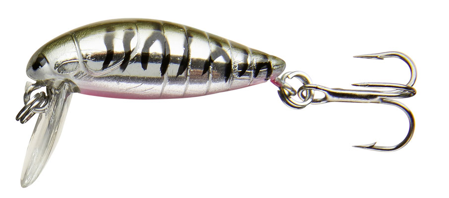 53-04284 striped seed