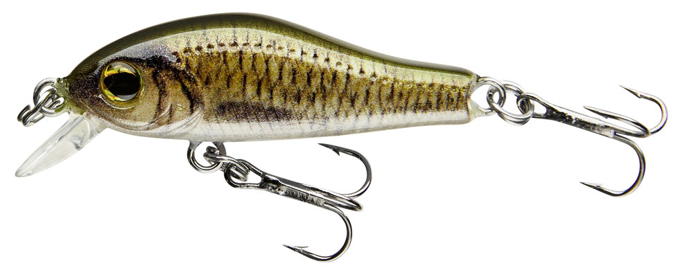 53-04352 carp