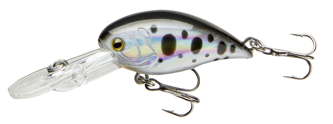 53-04414 dotted roach