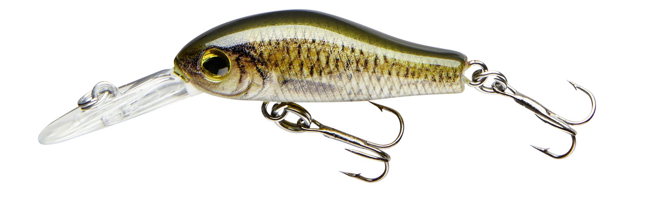 53-04361 carp