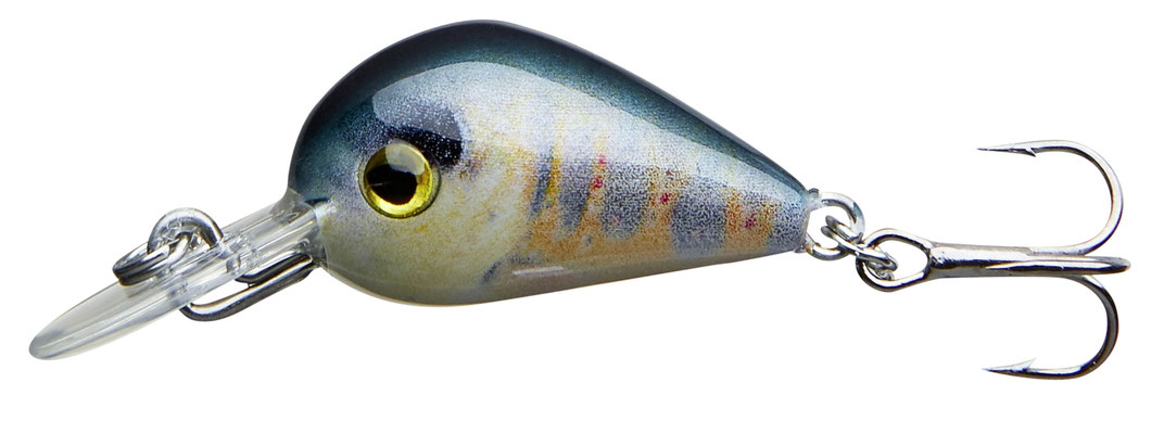 53-04251 baby brown trout