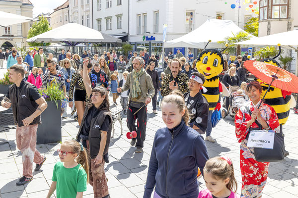 Straßen.Kunst.Festival Wiener Neustadt 2025, (c) Gartner/Wehrl/Weller