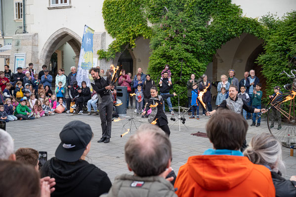 Straßen.Kunst.Festival Wiener Neustadt 2025, (c) Gartner/Wehrl/Weller