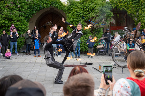 Straßen.Kunst.Festival Wiener Neustadt 2025, (c) Gartner/Wehrl/Weller